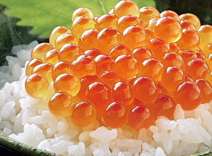 無冷凍いくら醤油漬